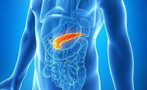 Liver Cancer Image